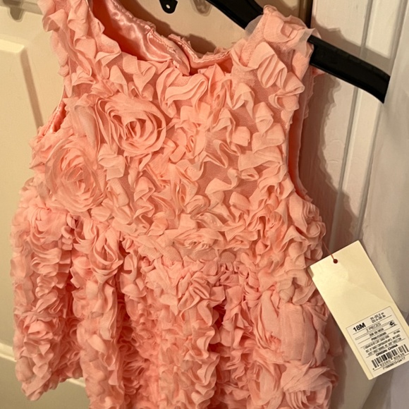 Cat & Jack baby/ little girl rosette dress - Picture 2 of 6